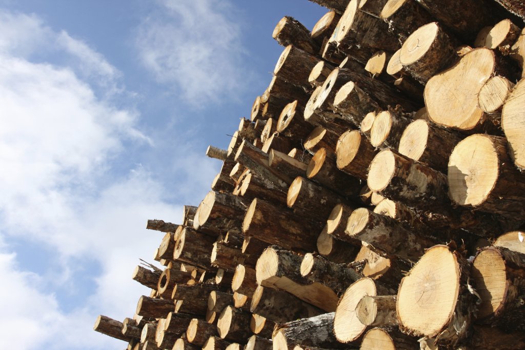 Plastic Material for Logging & Paper Components | Piedmont Plastics